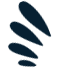 hen_feathers
