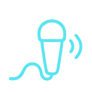voice
